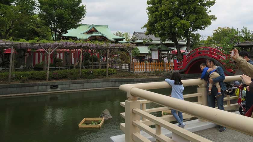 Kameido Tenjin Shrine path by turtle pond
