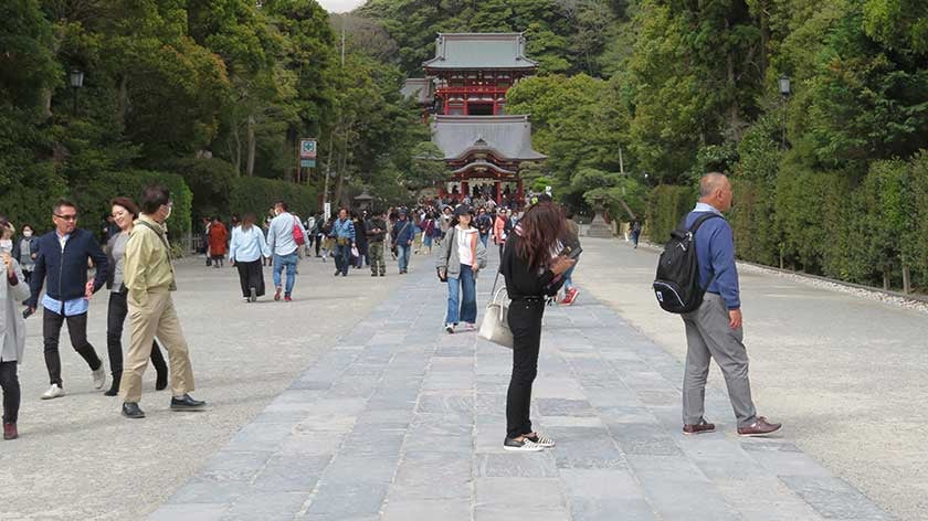 Path at Tsurugaoka Hachimangu