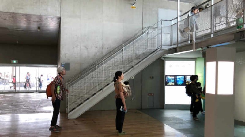 4378 kasai rinkai park aquarium