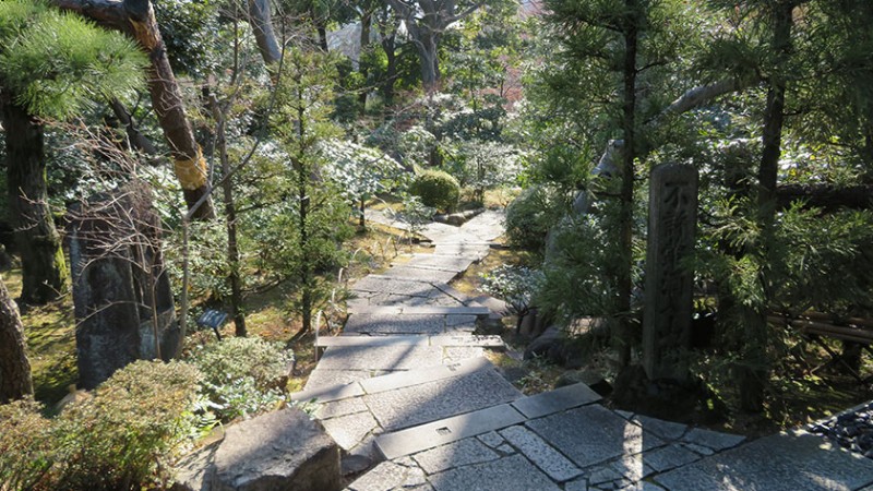 4910 nezu museum garden 2