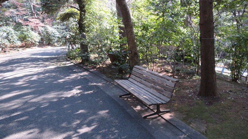 4910 nezu museum garden 3