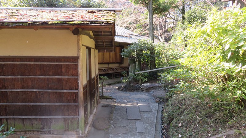 4910 nezu museum garden 5