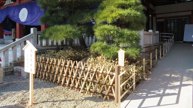 4917 hie shrine sanctuary ramp
