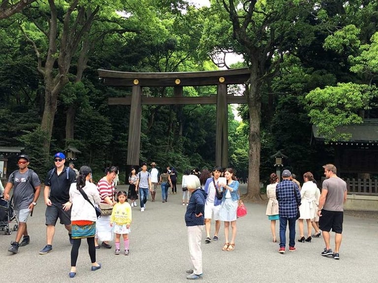 1577 meiji jingu feature 768x576
