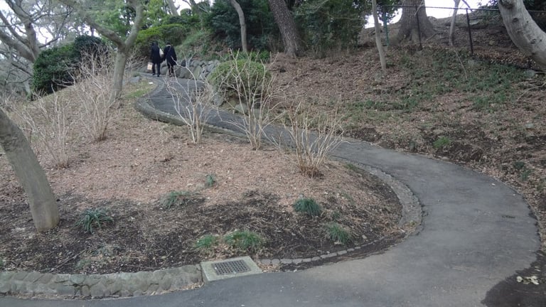 dsc01417 e1424933681693 768x432