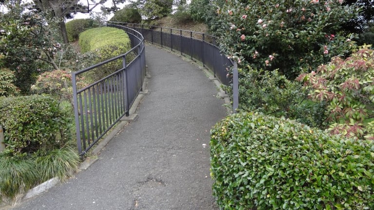 dsc01423 e1424933694735 768x432