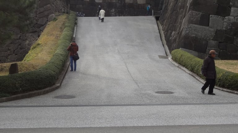 dsc01428 e1424933721354 768x432