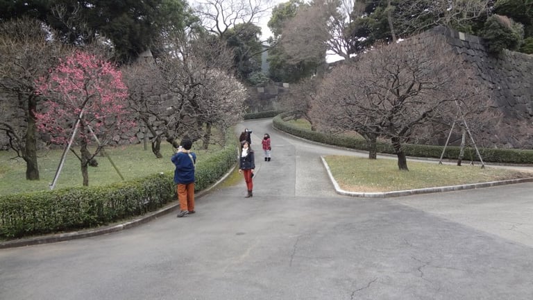 dsc01431 e1424933736766 768x432