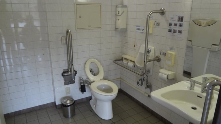 dsc01437 e1424935938483 768x432