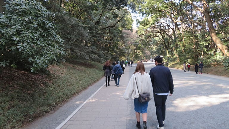 meiji jingu path 768x432