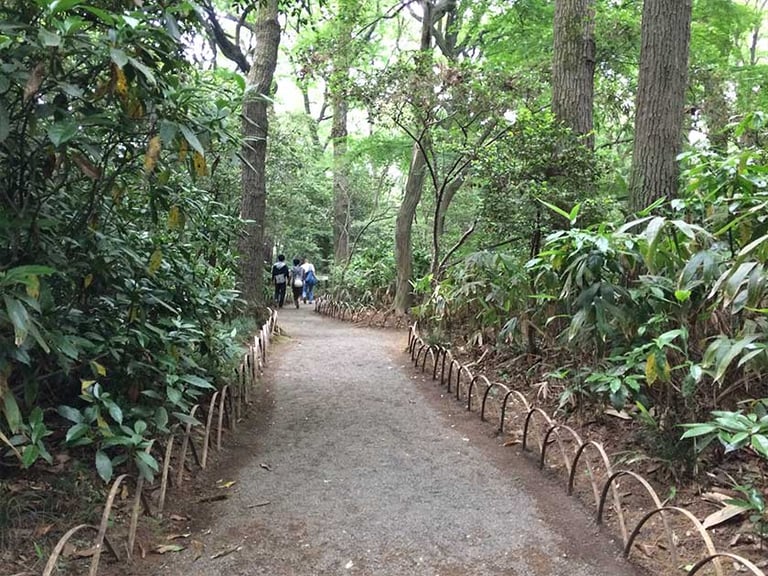 meiji jingu extra path 768x576