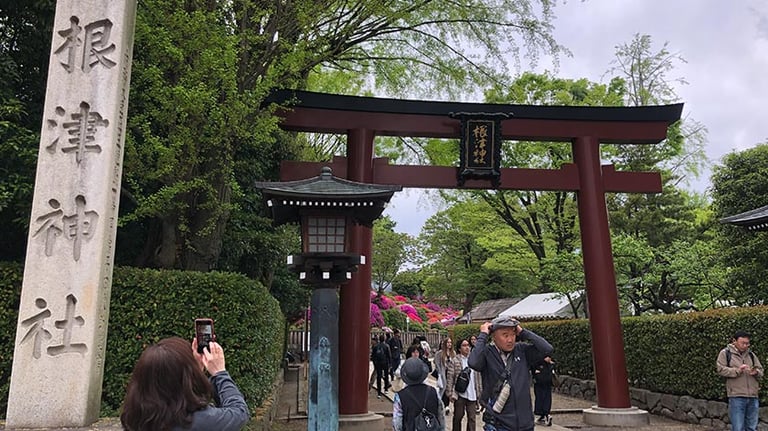 nezu jinja feature 768x432