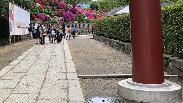 nezu jinja paths 1 768x432