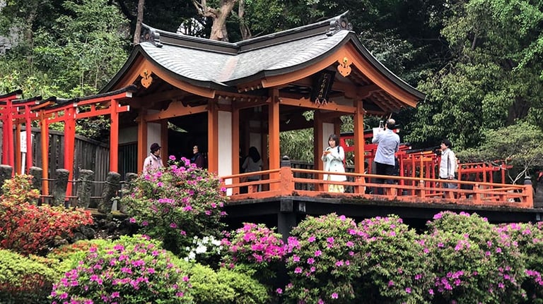 nezu jinja pavilion 768x432