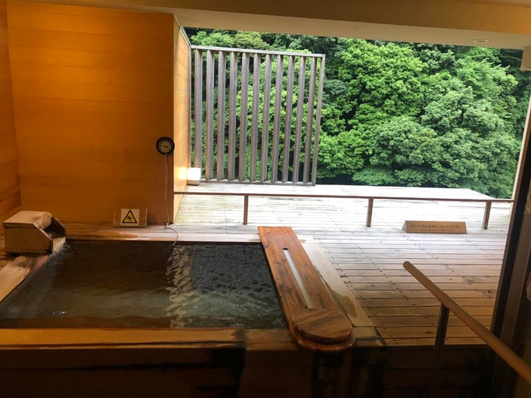 20190608 074823826 ios 768x576