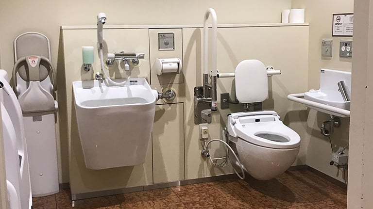 accessible toilet 2 1 768x432