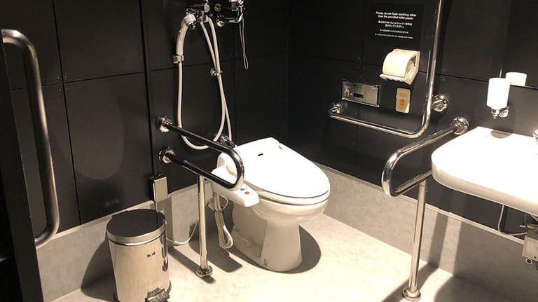 teamlab boarderless accessible toilet 1 768x432