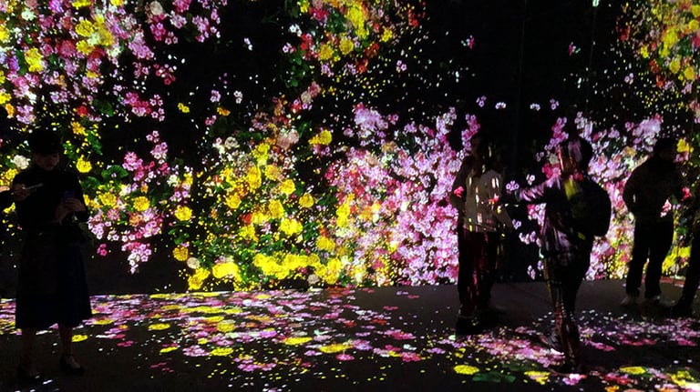 teamlab boarderless flowers 768x432