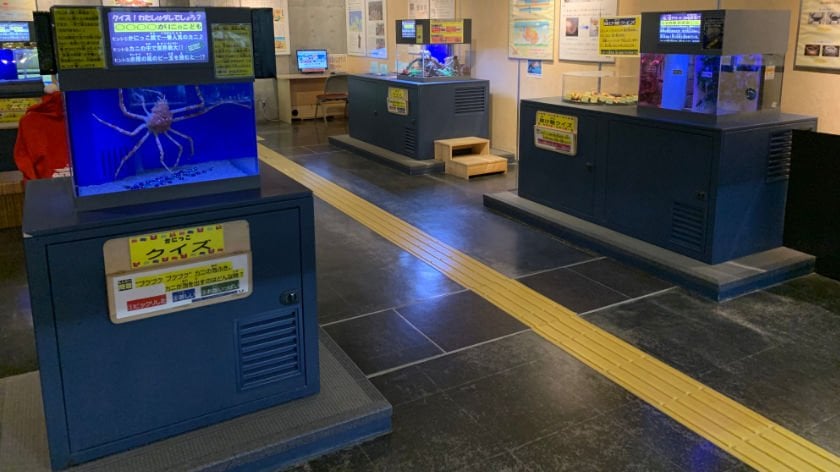 Tactile blocks at Kanikkokan