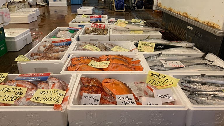 karoichi fish market fish 768x432