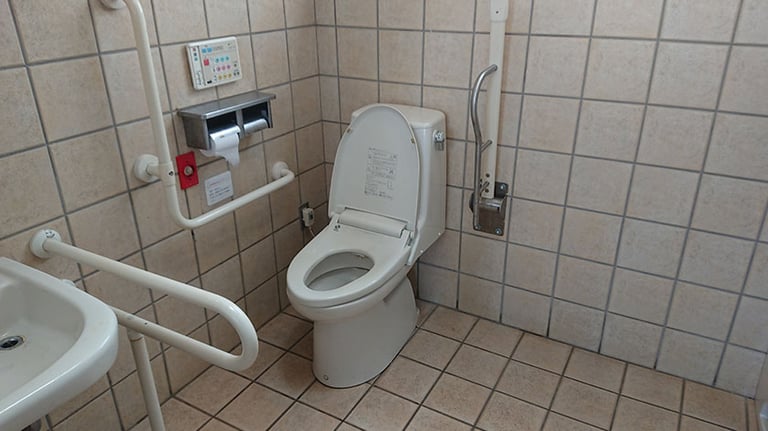 karoichi fish market outdoor toilet 768x432