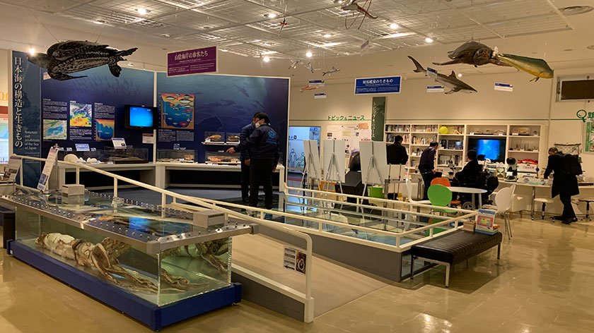 San'in Kaigan Geopark Museum ramp