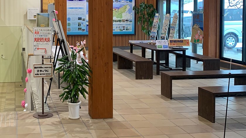 Rest area at Tottori Sand Dunes Park Service Center