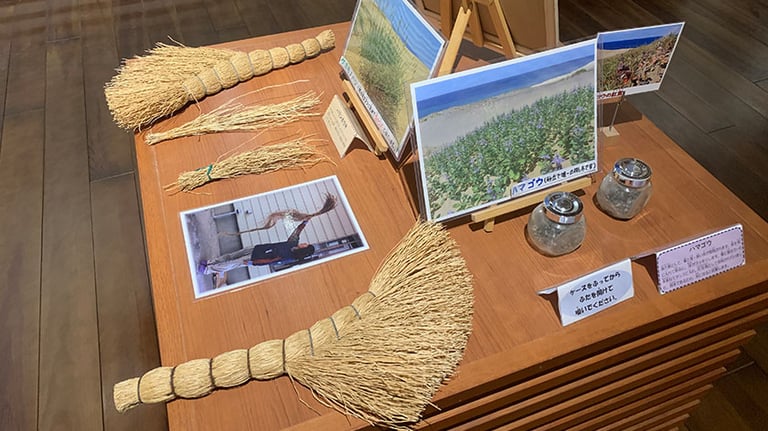 tottori sand dunes hands on display 768x432