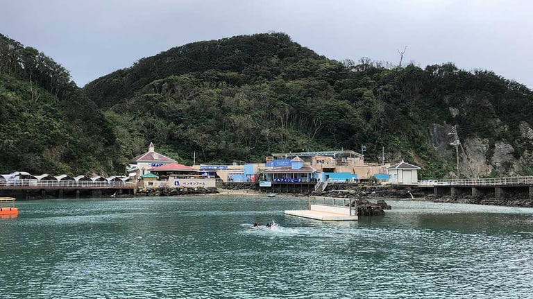 Shimoda Underwater Aquarium bay 768x432