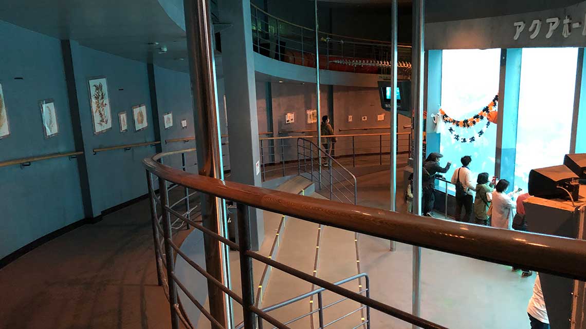 Ramp down into Aqua Dome