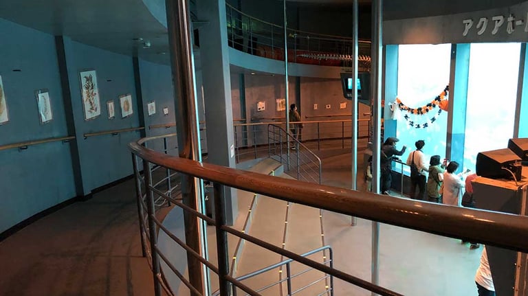 Shimoda Underwater Aquarium inside aquadome 768x432