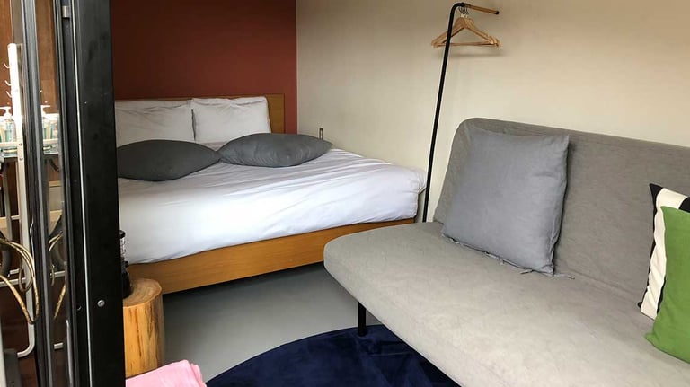 fujinokirameki king 768x432