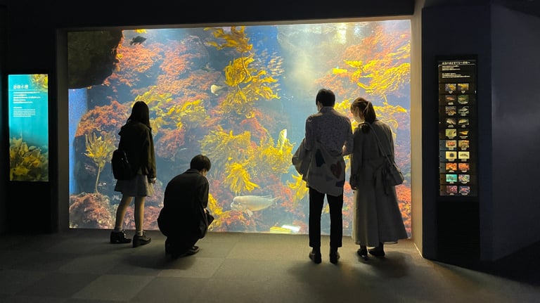 enoshima aquarium exhibit 768x432