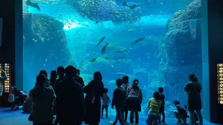 enoshima aquarium exhibit big 768x432