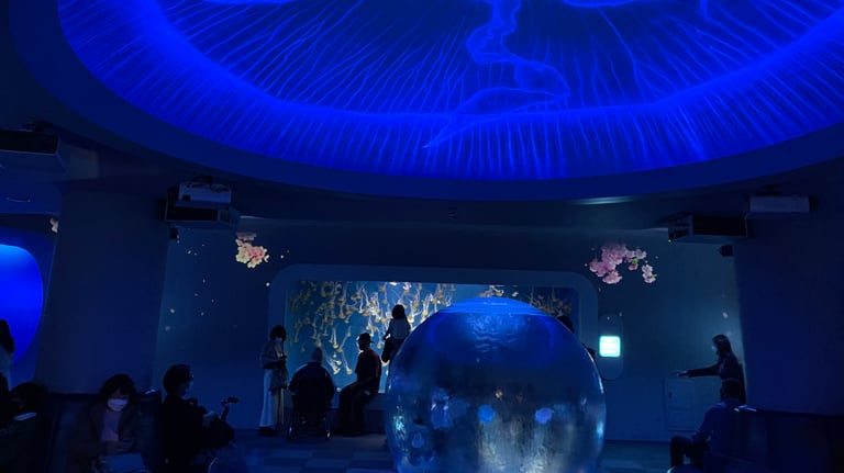 enoshima aquarium exhibit jellyfish 768x432