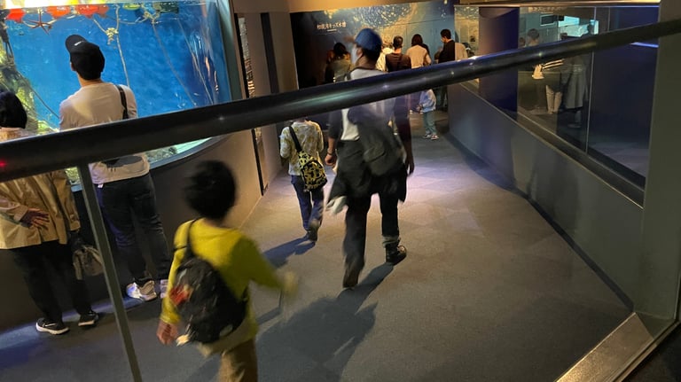 enoshima aquarium ramp inside 768x432