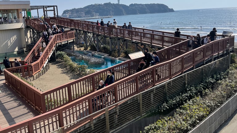 enoshima aquarium ramp outside 768x432