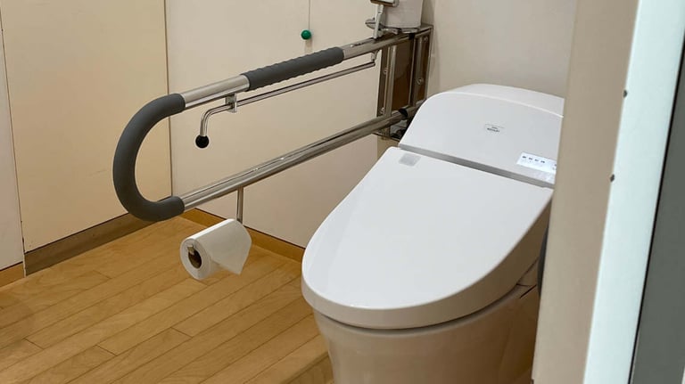 pola toilet2 768x432