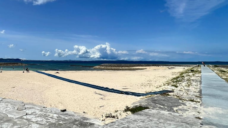 azamasansan miyo1 768x432