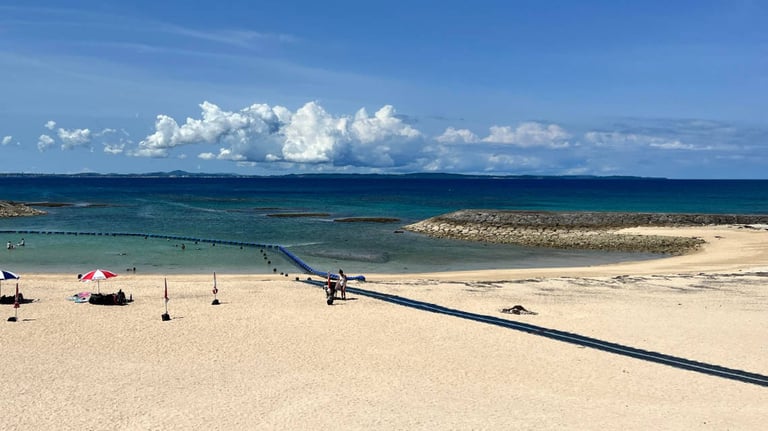 azamasansan miyo2 768x432