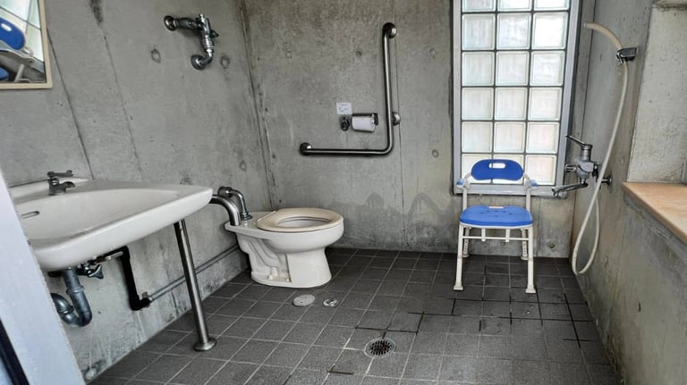 azamasansan miyo4 768x432