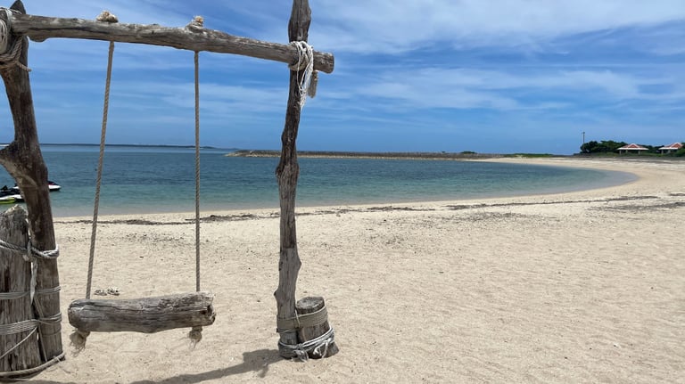 sunsun cover 768x432