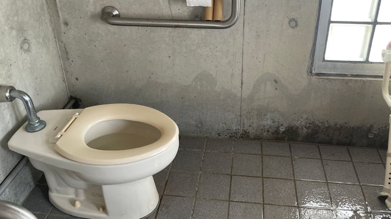 sunsun toilet 768x432