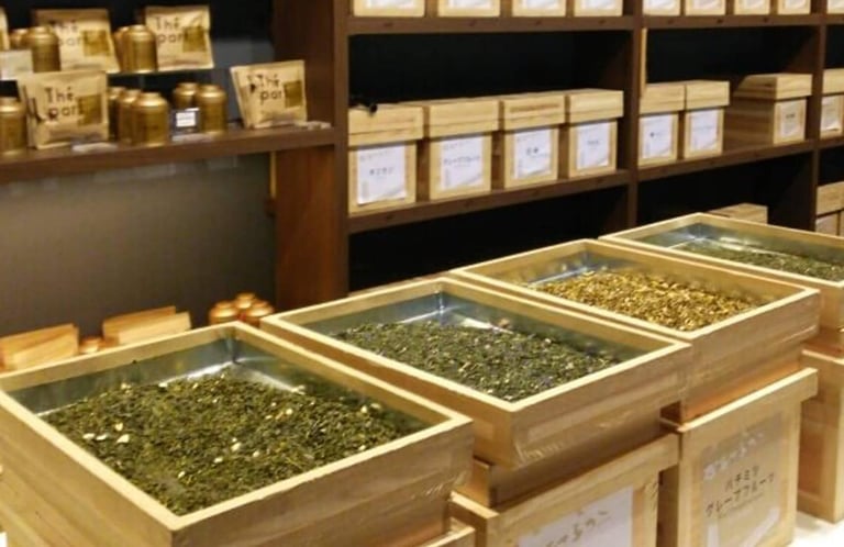 flavors tour top 768x499