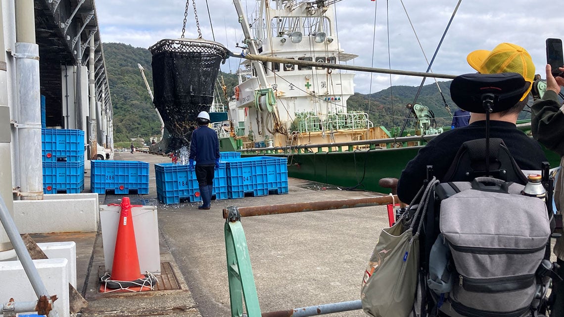 Fish being unloaded from boats by nets