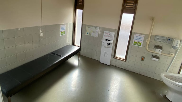 market toilet 2 768x432