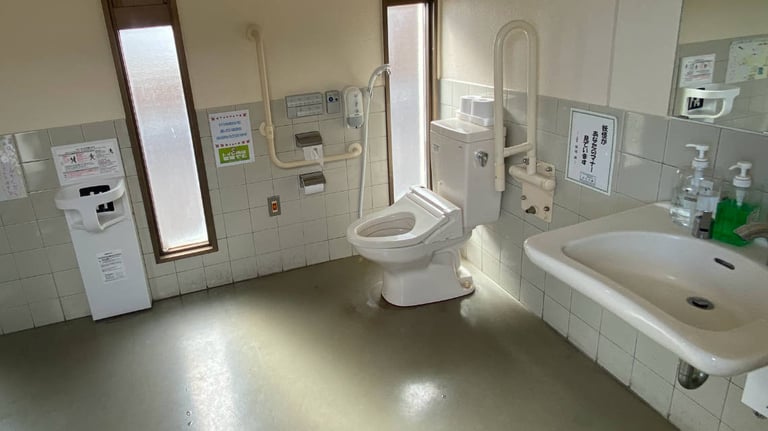 market toilet 768x432