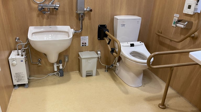 toilet 1 768x432
