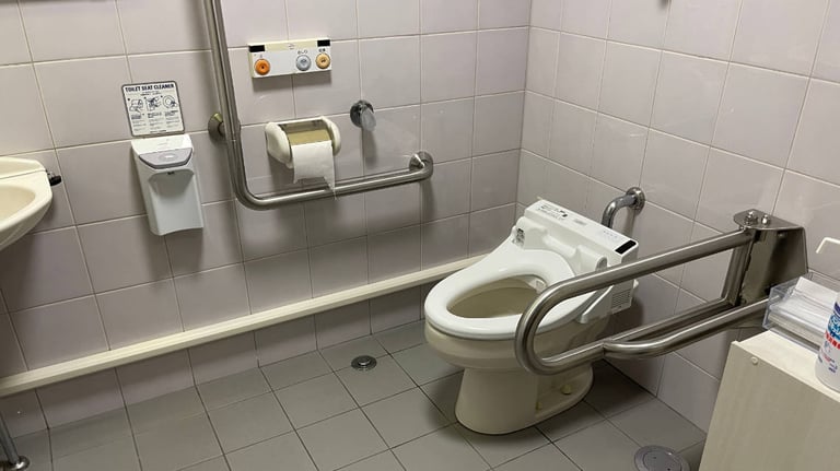toilet 768x432