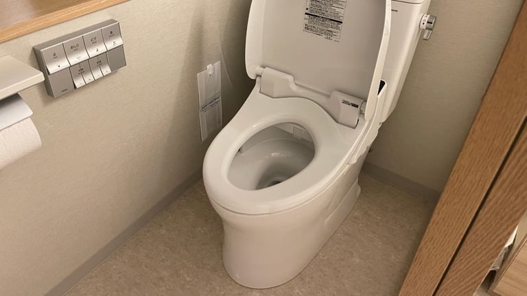 Toilet in accessible room